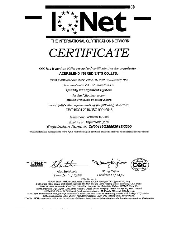 ISO9001